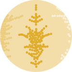 Dataviz logo representing a Beeswarm2 chart.